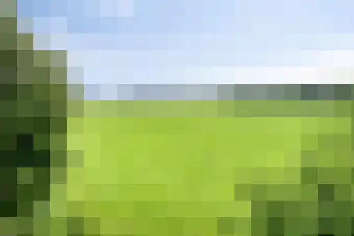 Streekweg 2 Onstwedde thumbnail 61
