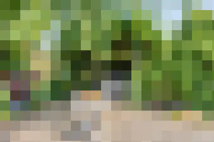 Streekweg 2 Onstwedde thumbnail 63