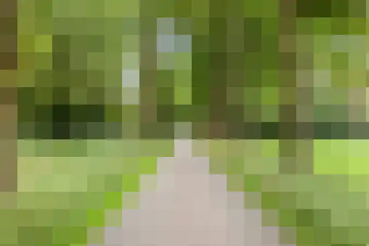 Streekweg 2 Onstwedde thumbnail 66