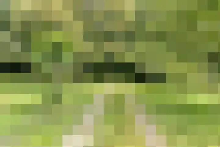 Streekweg 2 Onstwedde thumbnail 9