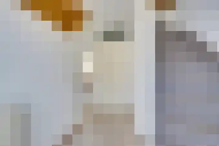 Strekel 20 Oostzaan thumbnail 5