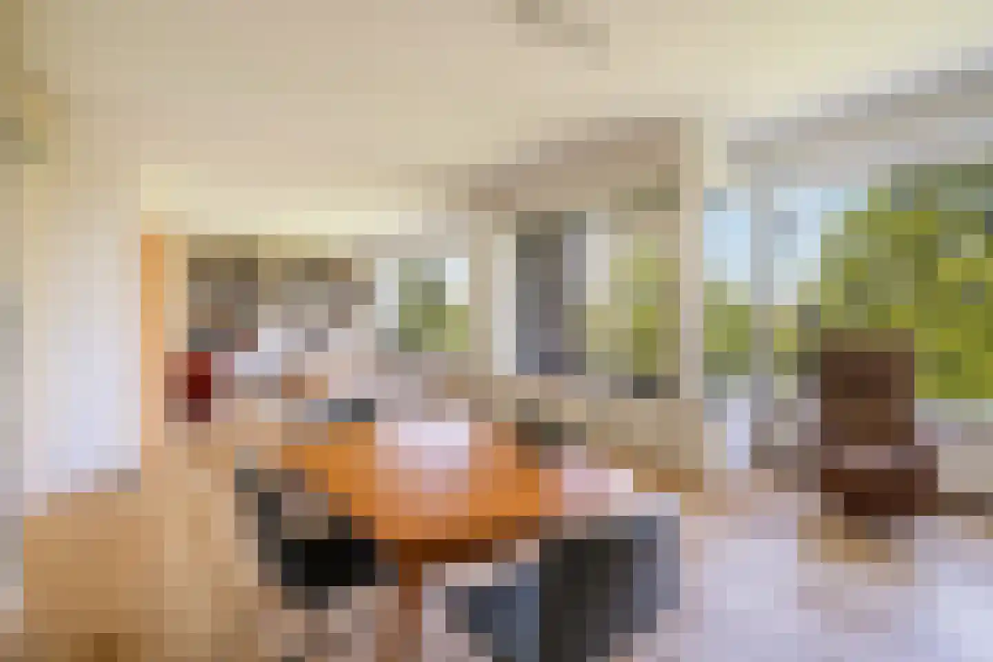 Streksingel 61 Rotterdam thumbnail 14
