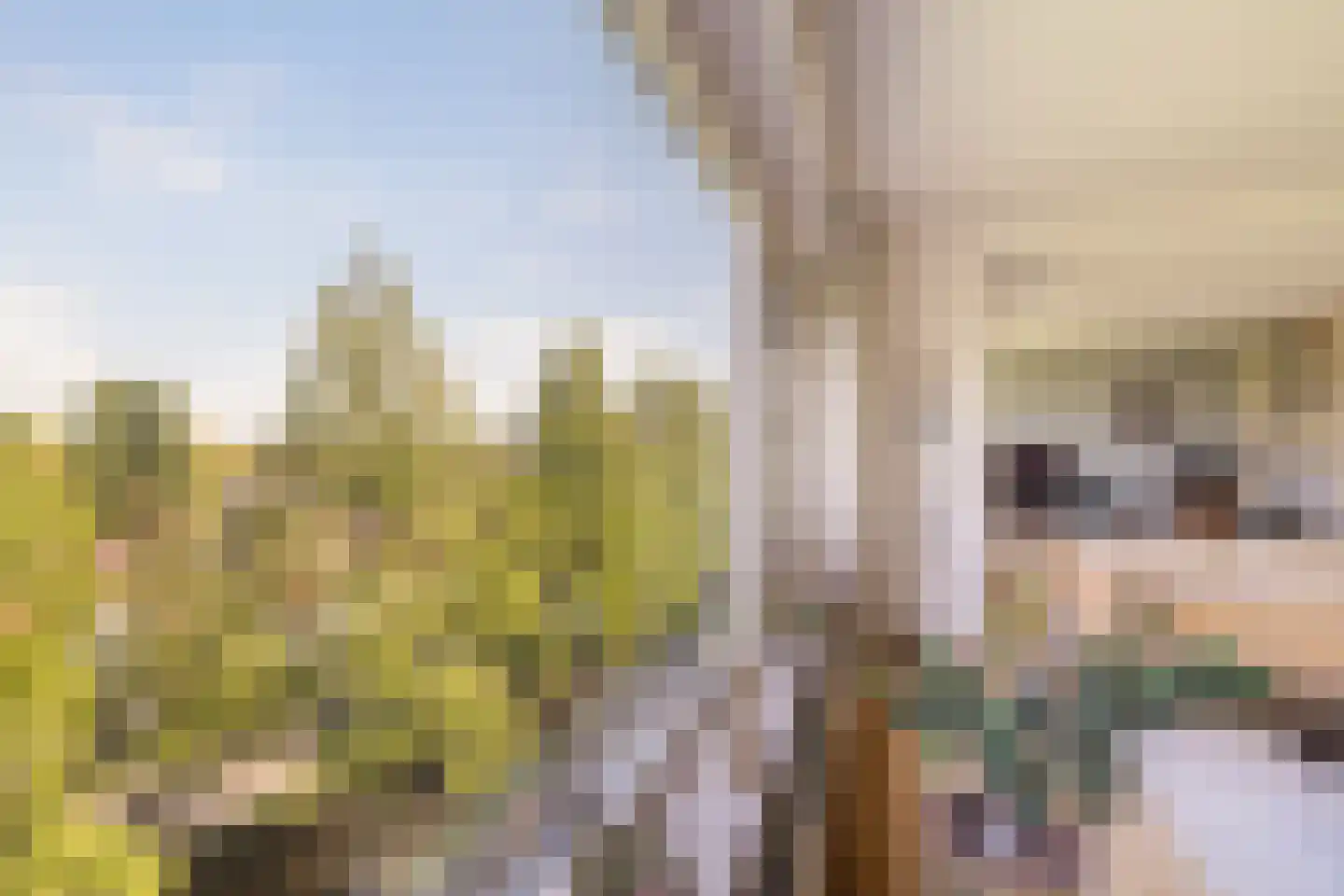 Streksingel 61 Rotterdam thumbnail 17