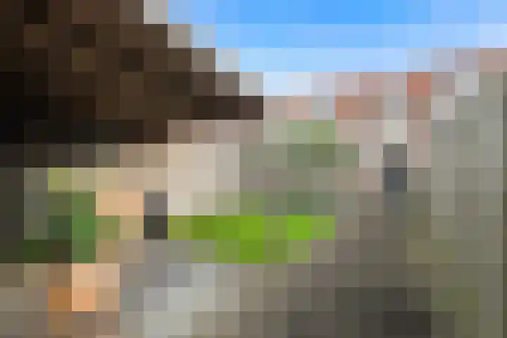 Streksingel 61 Rotterdam thumbnail 18