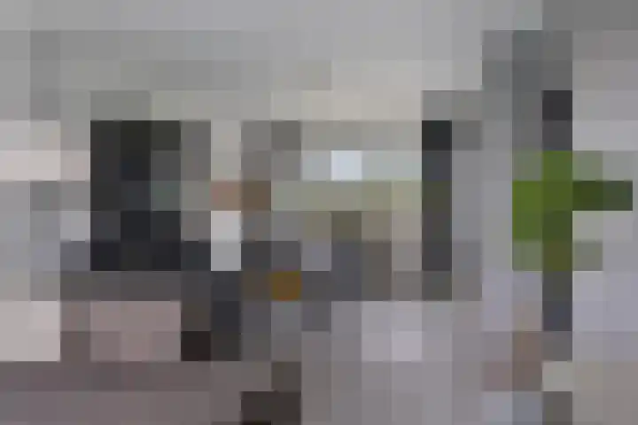 Streksingel 61 Rotterdam thumbnail 26