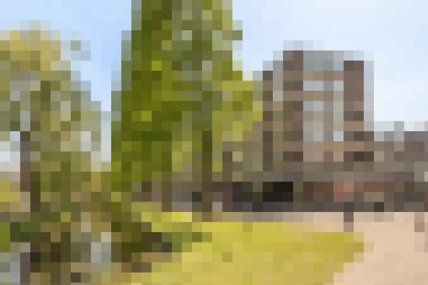 Streksingel 61 Rotterdam thumbnail 44