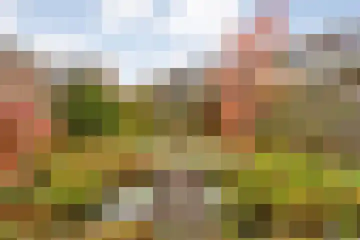 Strengakkers 2 Annen thumbnail 35