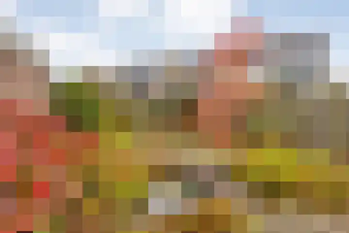 Strengakkers 2 Annen thumbnail 36