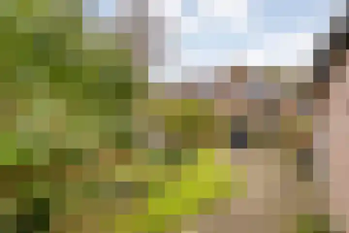 Strengakkers 2 Annen thumbnail 39