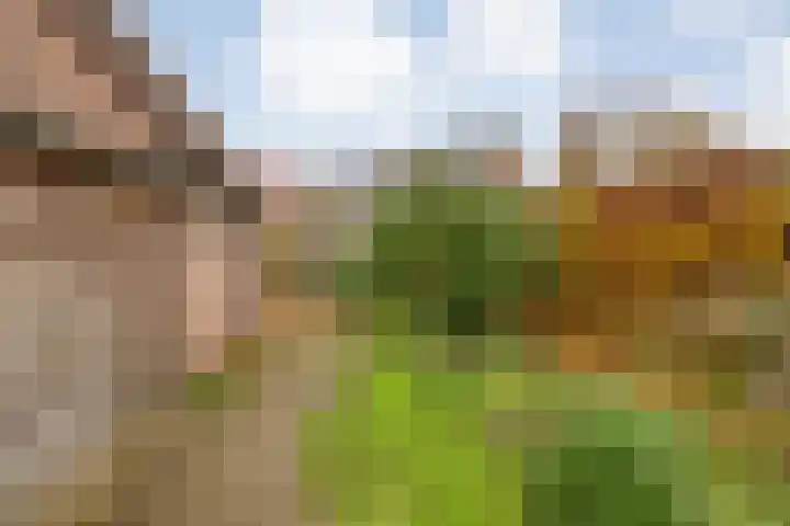 Strengakkers 2 Annen thumbnail 42