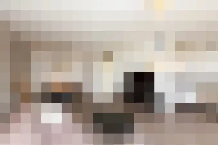 Strengen 100 Oudewater thumbnail 18