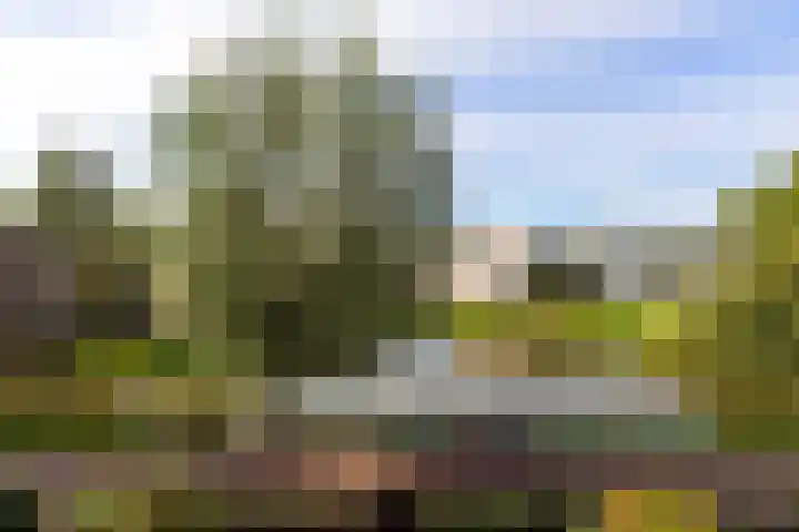 Strengen 100 Oudewater thumbnail 28