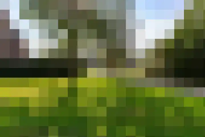 Strengen 100 Oudewater thumbnail 34