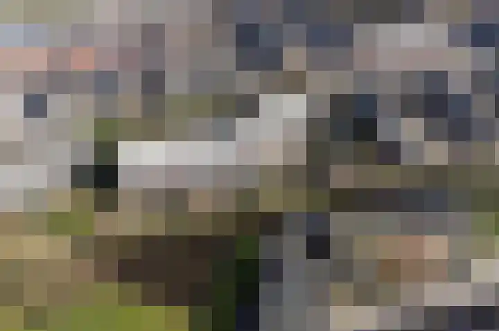 Strengen 100 Oudewater thumbnail 5