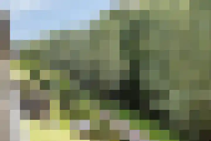 Strengen 32 Oudewater thumbnail 14