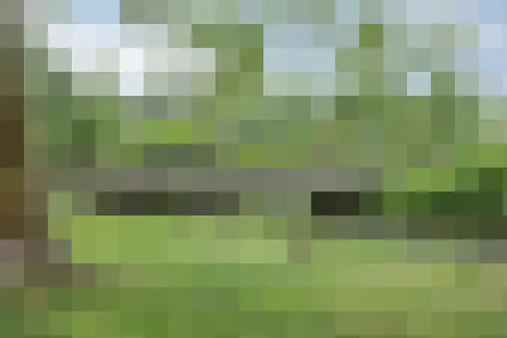 Strengen 32 Oudewater thumbnail 22