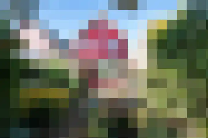 Strengen 39 Oudewater thumbnail 6