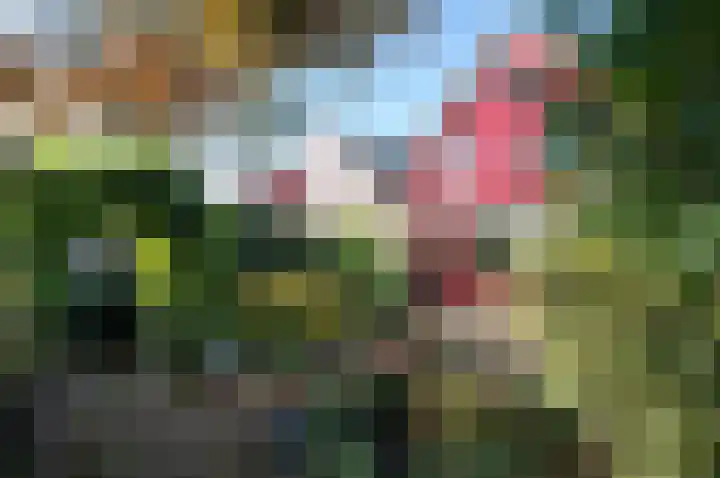 Strengen 39 Oudewater thumbnail 7