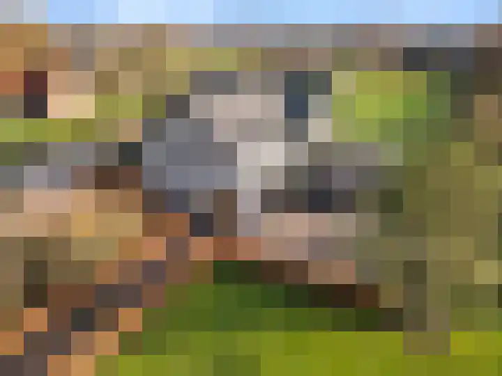 Strengen 48 Oudewater thumbnail 6