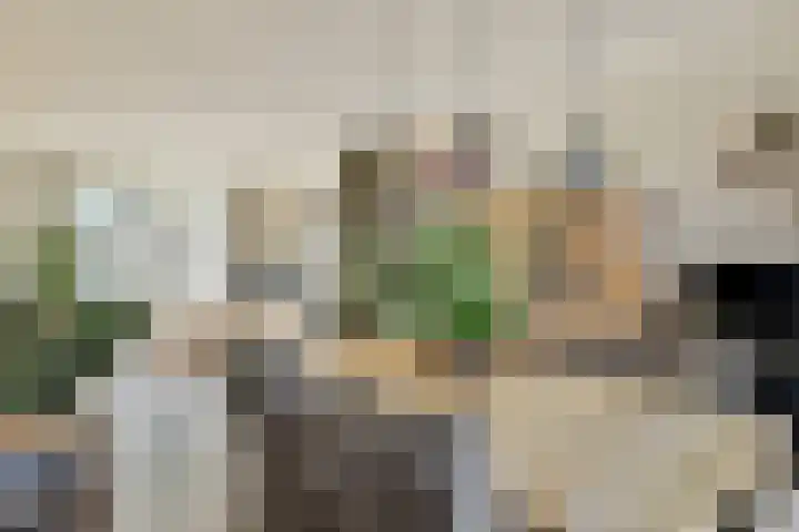Stresemannlaan 7 Haarlem thumbnail 11