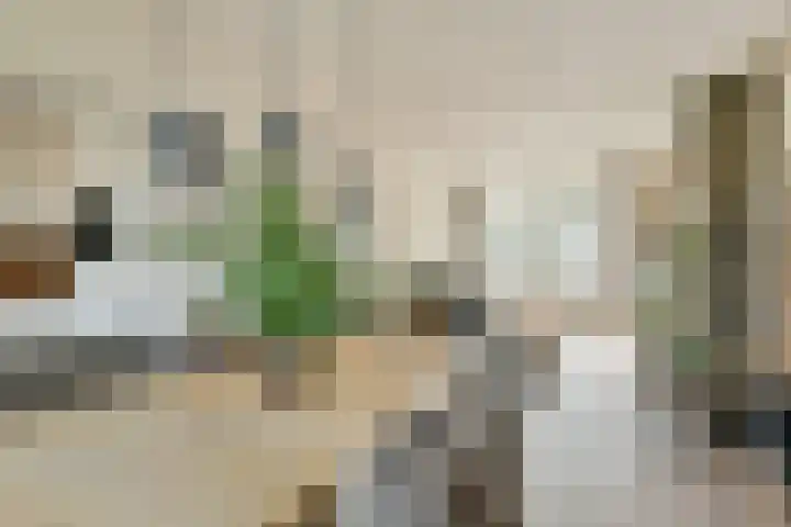 Stresemannlaan 7 Haarlem thumbnail 12