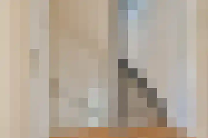 Stresemannlaan 7 Haarlem thumbnail 34
