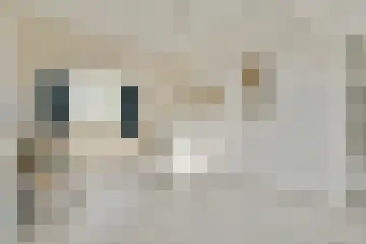 Stresemannlaan 7 Haarlem thumbnail 35