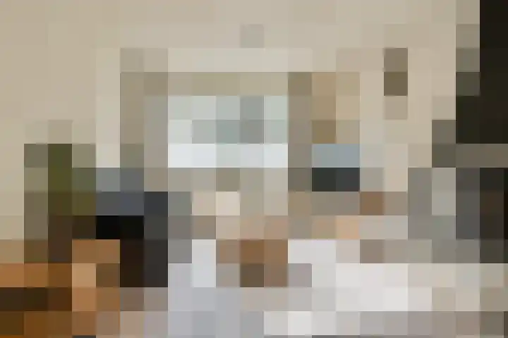 Stresemannlaan 7 Haarlem thumbnail 7