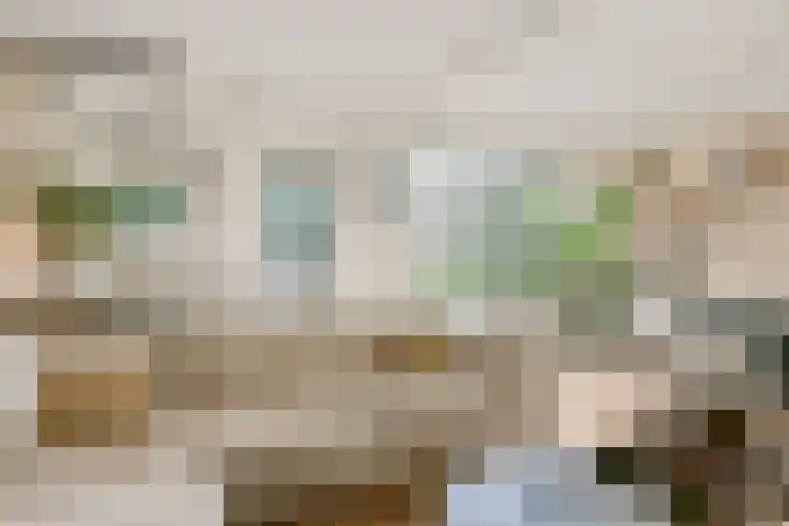Stresemannlaan 98 Haarlem thumbnail 17