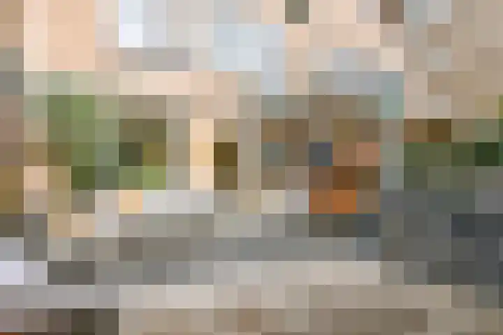 Stresemannlaan 98 Haarlem thumbnail 22