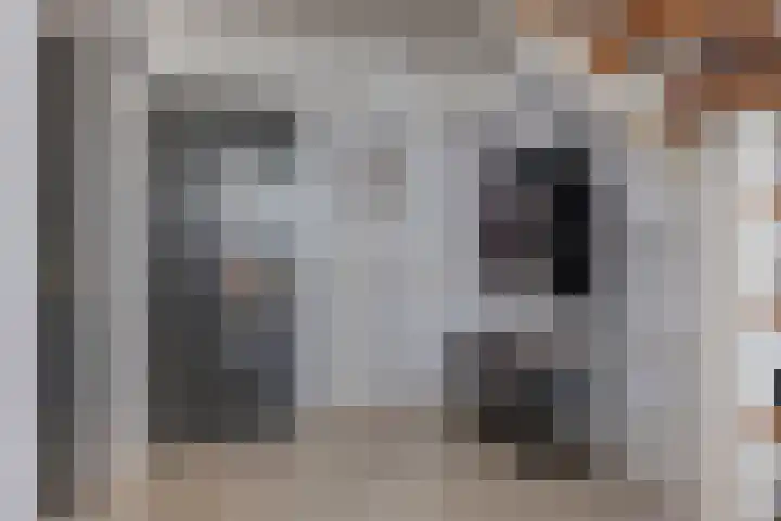 Stricklaan 1 Heesch thumbnail 10