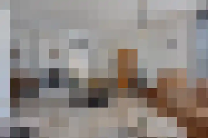 Stricklaan 1 Heesch thumbnail 15