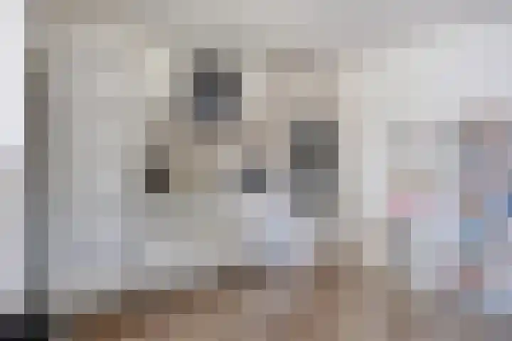 Stricklaan 1 Heesch thumbnail 20