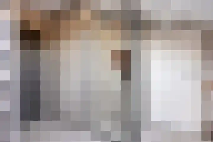 Stricklaan 1 Heesch thumbnail 26
