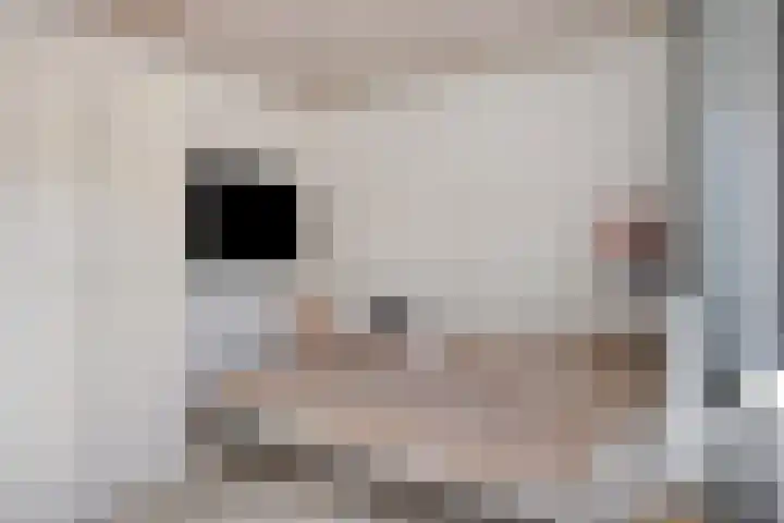 Stricklaan 1 Heesch thumbnail 31