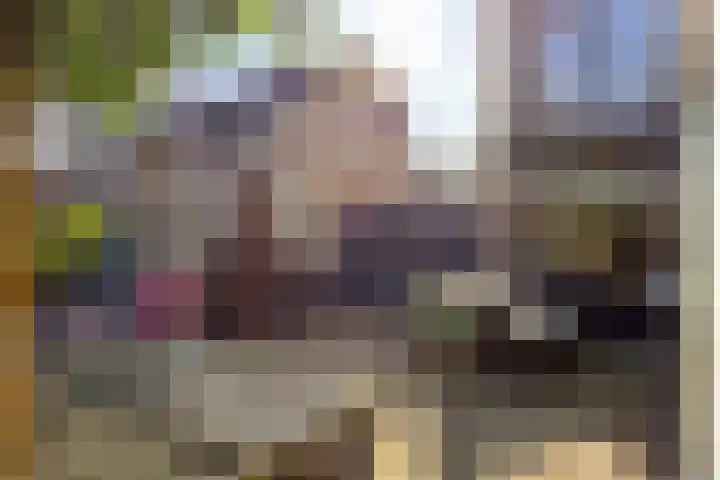 Stricklaan 1 Heesch thumbnail 42