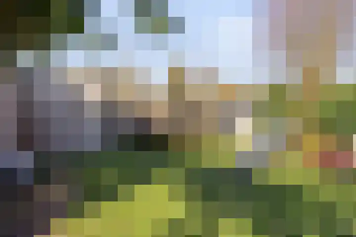 Stricklaan 1 Heesch thumbnail 43