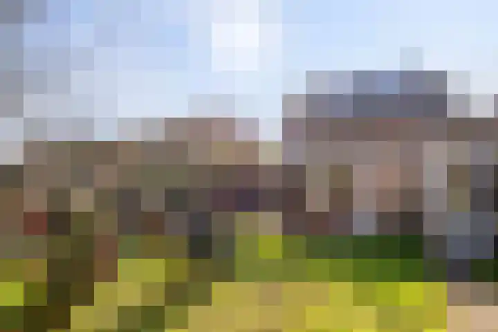 Stricklaan 1 Heesch thumbnail 45