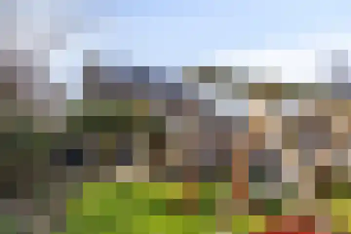 Stricklaan 1 Heesch thumbnail 46