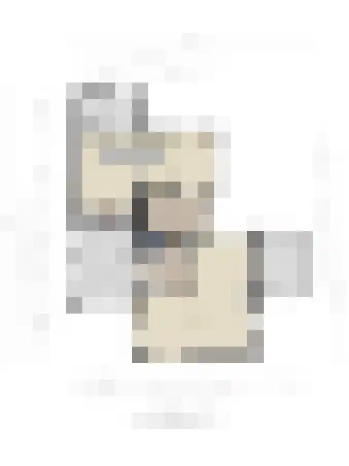 Stricklaan 1 Heesch thumbnail 47