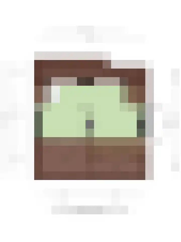 Stricklaan 1 Heesch thumbnail 49