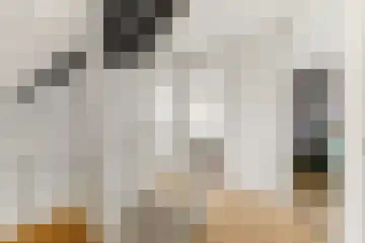 Strijp 3 De Lier thumbnail 28