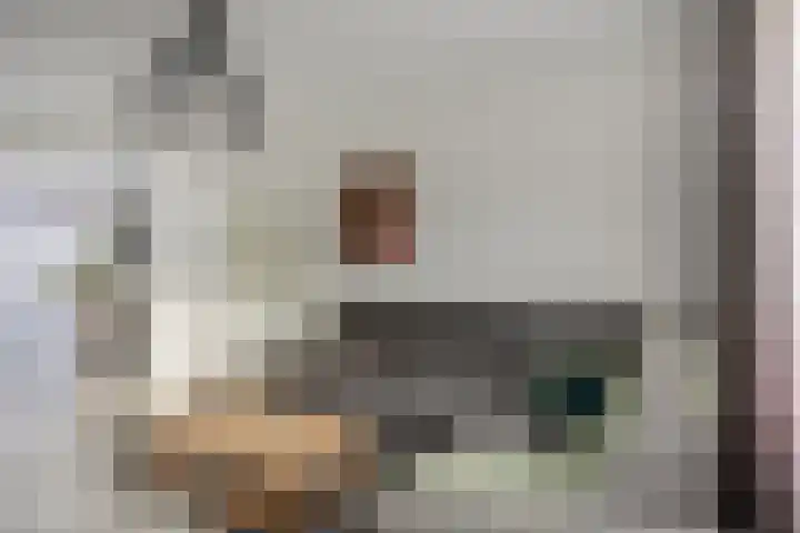 Strijp 4 Wouw thumbnail 4