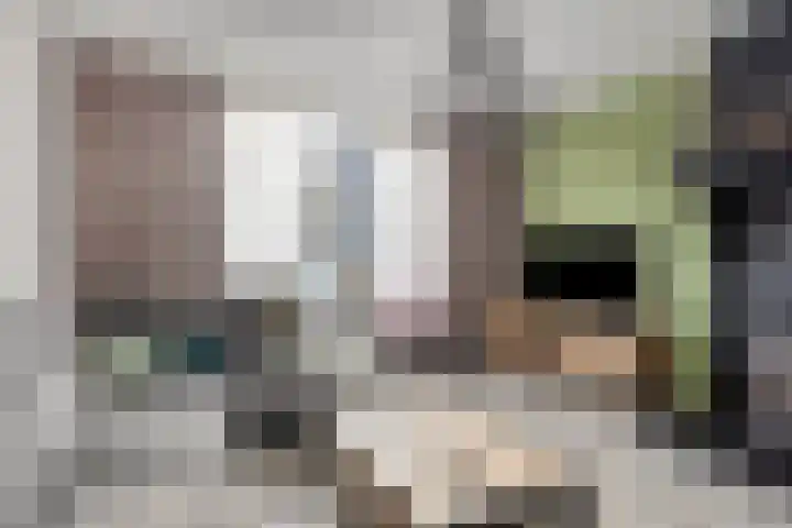 Strijp 4 Wouw thumbnail 6