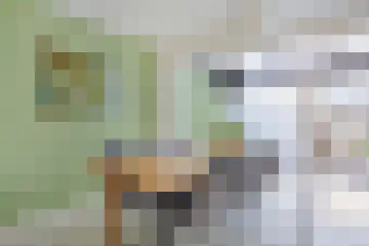 Strijp 4 Wouw thumbnail 8