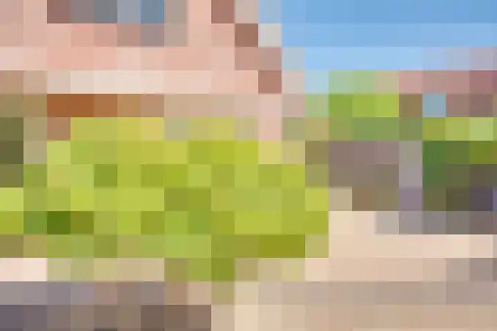 Strijpkade 2 Den Haag thumbnail 7
