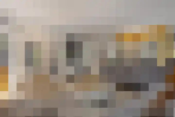 Strijpsebaan 2 Veldhoven thumbnail 12