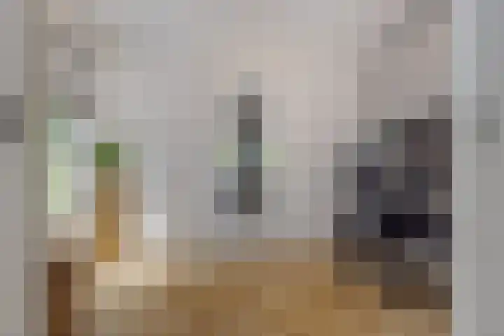 Strijpsebaan 2 Veldhoven thumbnail 14