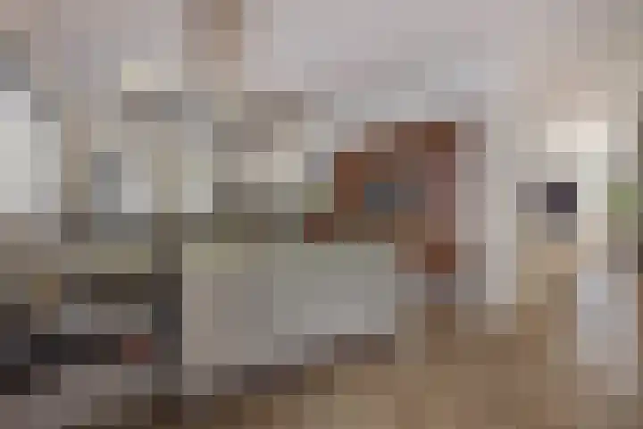 Strijpsebaan 2 Veldhoven thumbnail 20