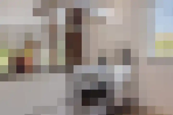 Strijpsebaan 2 Veldhoven thumbnail 22